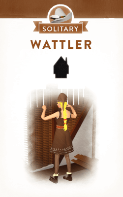 Wattler
